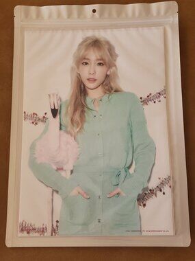 SNSD GIRLS GENERATION TAEYEON SEALED A4 DISCONTINUED